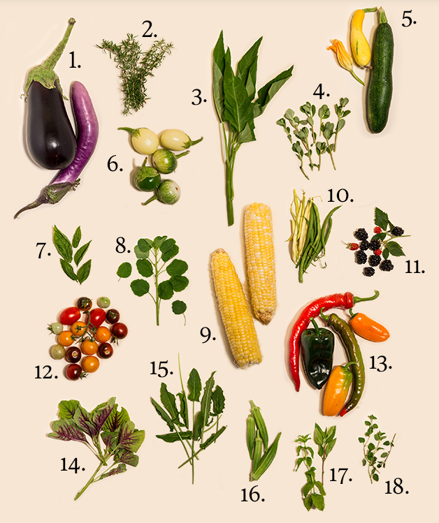 Rosemary, squash blossom, okra and more are all grown at Rice’s Betty and Jacob Friedman Holistic Garden. The garden is maintained by students and community volunteers, and the produce makes its way onto menus in the campus serveries. Learn more: