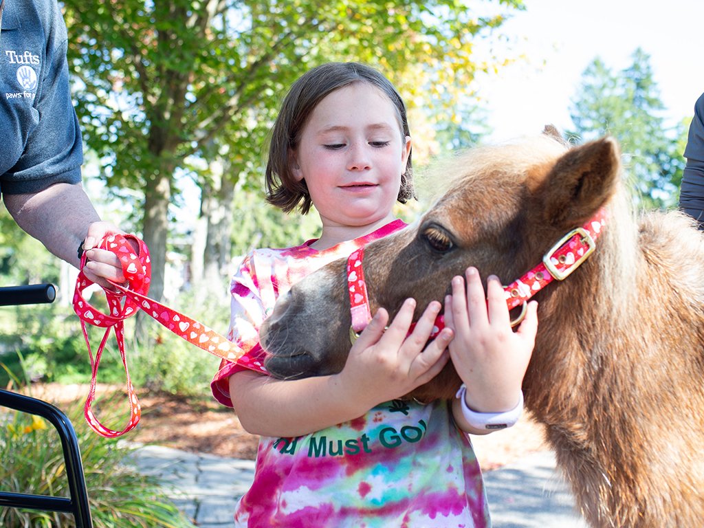 It was a great turnout on Sunday at the annual @tuftsvet Open House on Tufts' Grafton campus, where guests learned more about the programs offered, the field of veterinary medicine & more! : @graftonnews :