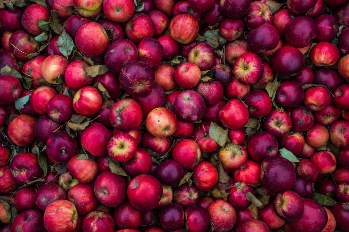 How a collaboration with @lesley_u, @EmmanuelCollege, and local organizations will hep bring more regionally grown, sustainable foods to @MIT&#39;s campus 